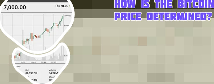 1 bitcoin worth