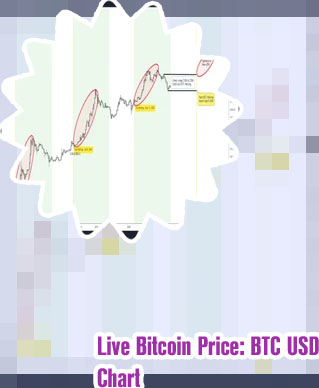 Btc chart