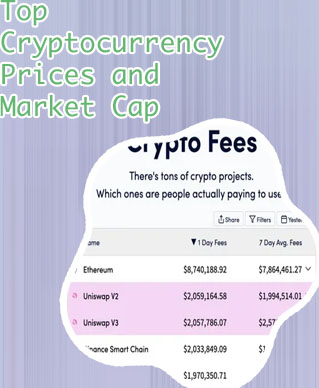 Crypto fees