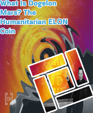 Elon crypto